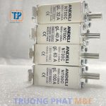 Cầu Chì Sứ 100A - Ảnh 1