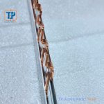 Thanh lược đồng 2 pha 100A - Ảnh 1